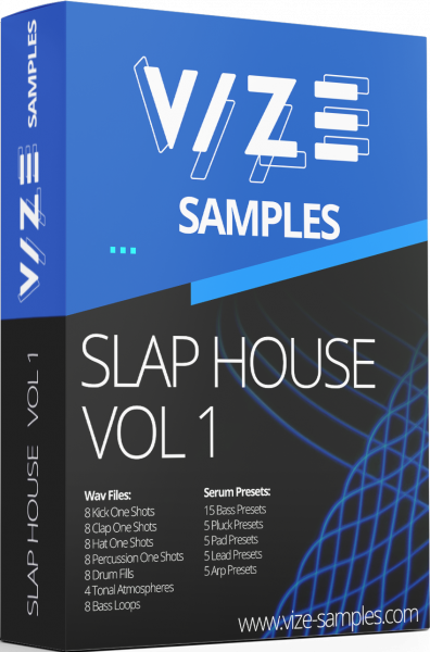VIZE SAMPLES Slap House Vol. 1